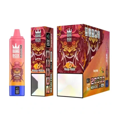 Bang Box 20000 Puffs - High-Capacity Vape mit LED-Anzeige