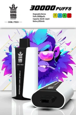 Bang Box 30000 Puffs Pro Vape Device - Avec la technologie Dual Mesh et un design rechargeable