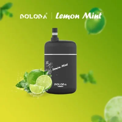 DOLODA Pebble 6500 Puffs Vape - dobíjecí s 10 možnostmi příchutí