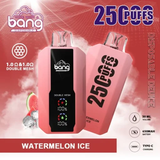 Bang Vape 25,000 Puffs – Long-Lasting Vape with Rich, Bold Flavor - Image 4